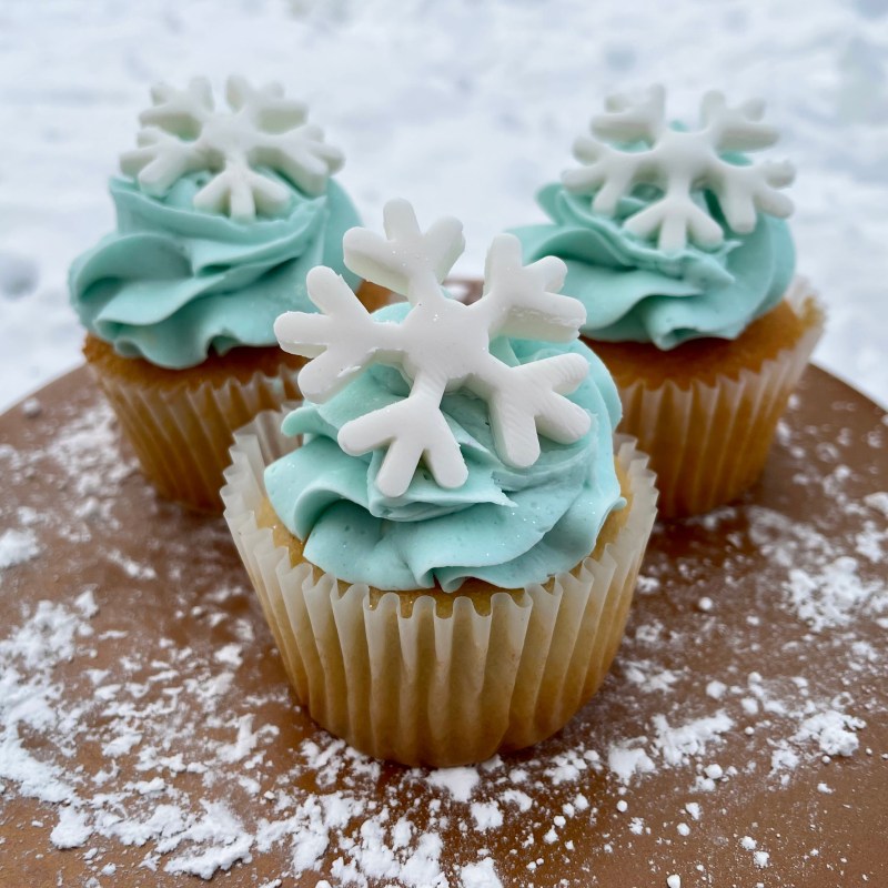White Snowflake Cupcake