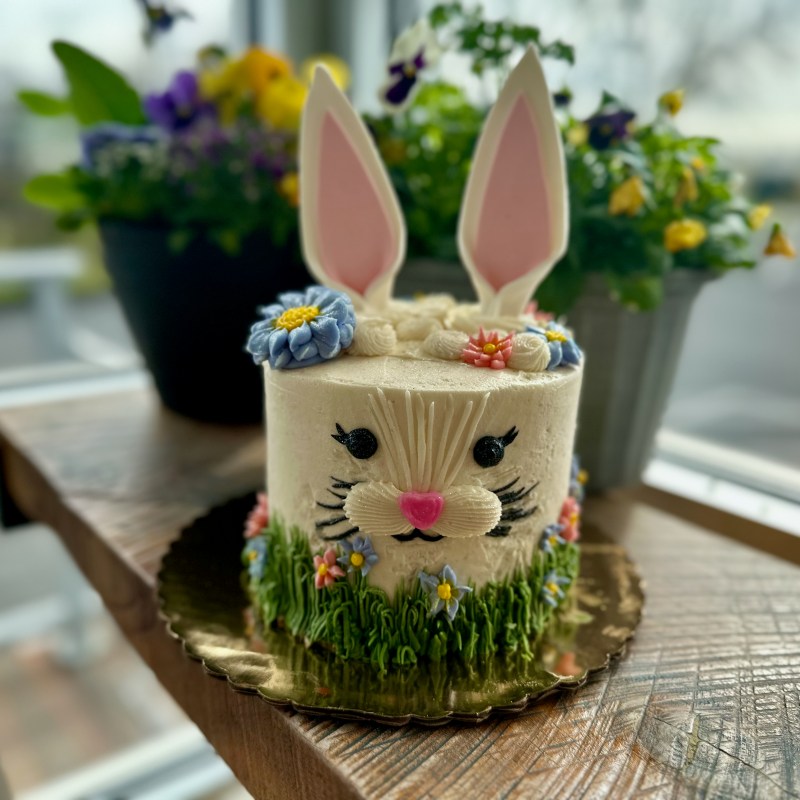 Easter Bunny Cake
