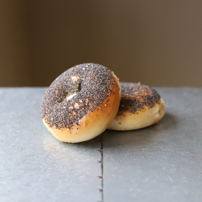 Poppy Seed Bagel